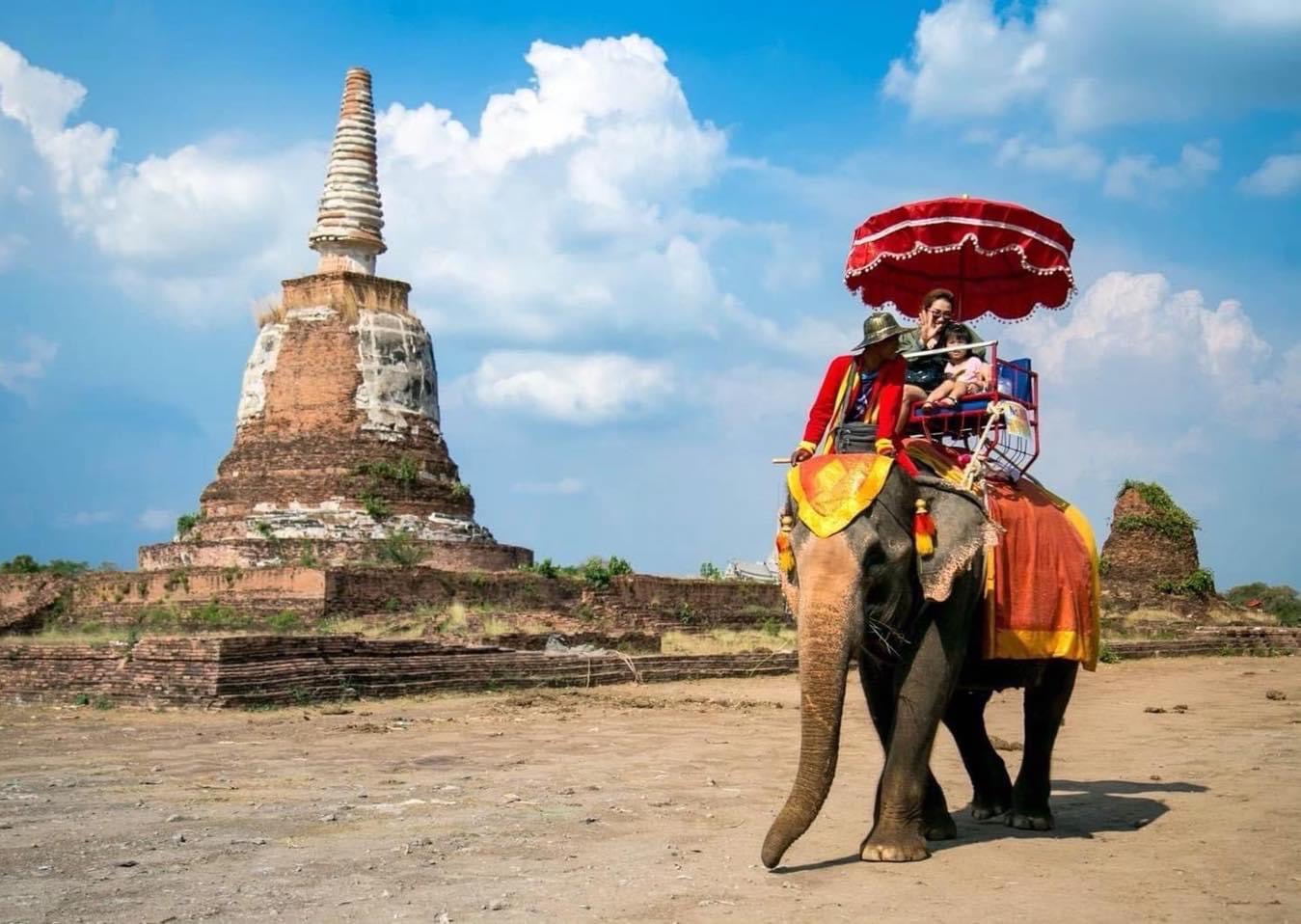 Экскурсия Катание на слонах 30 минут в Паттайе - SevenTrips