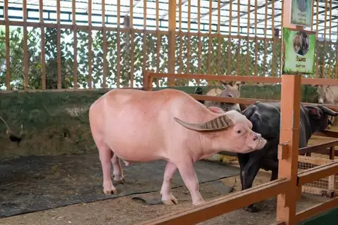 Детские приключения — фотография 7