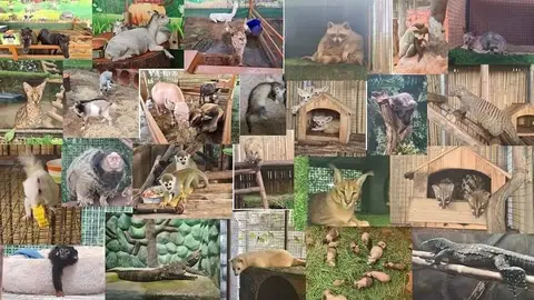 Детские приключения — фотография 13